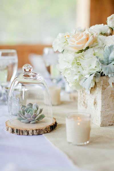 idées decor table nude plante succulente